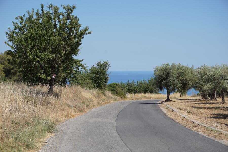 Una strada di campagna tra gli ulivi con il mare sullo sfondo